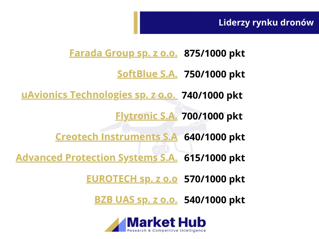 Analiza rynku dronów, Liderzy rynku dronów, MarketHub