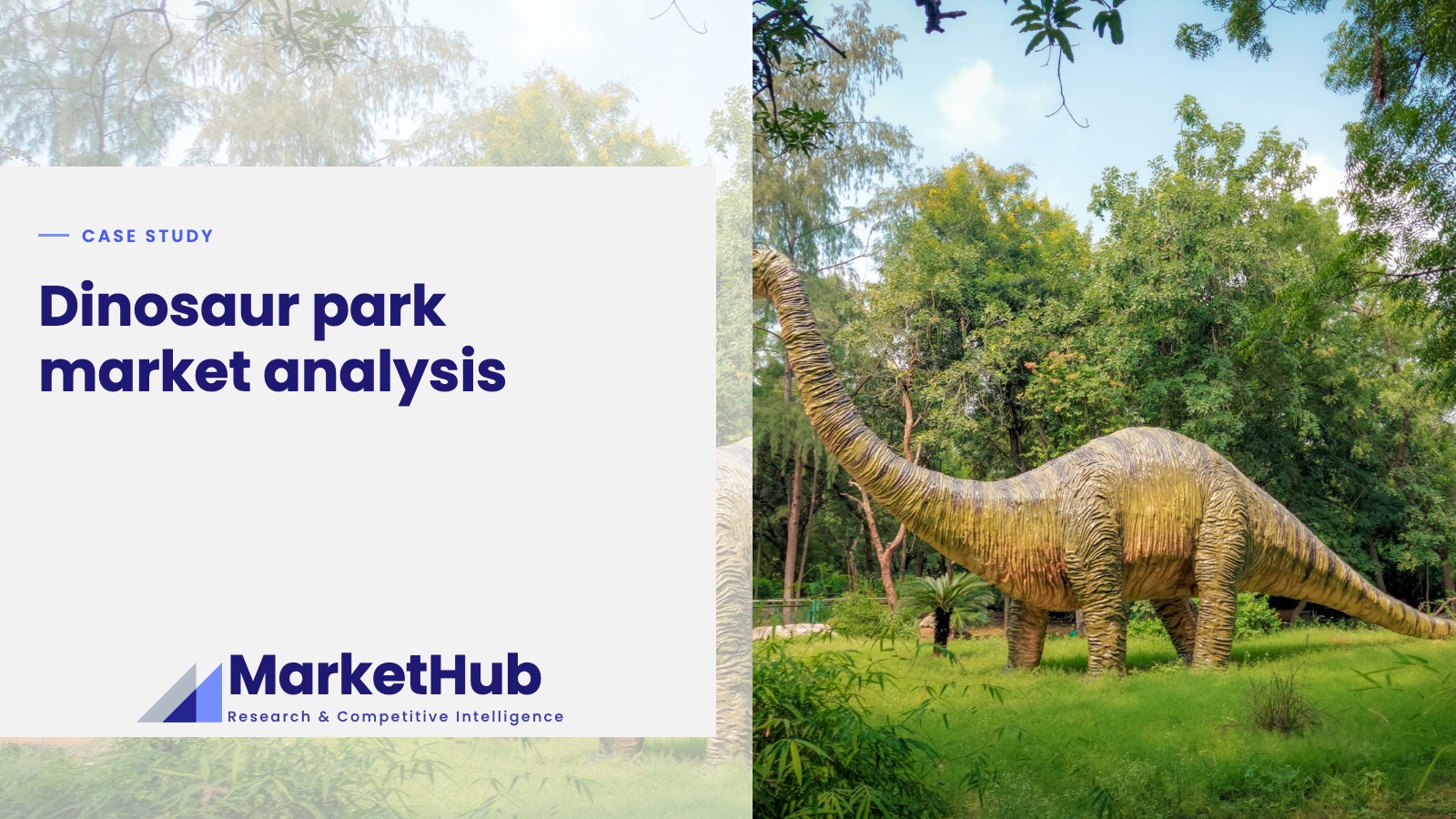 Dinosaur park market analysis: case study