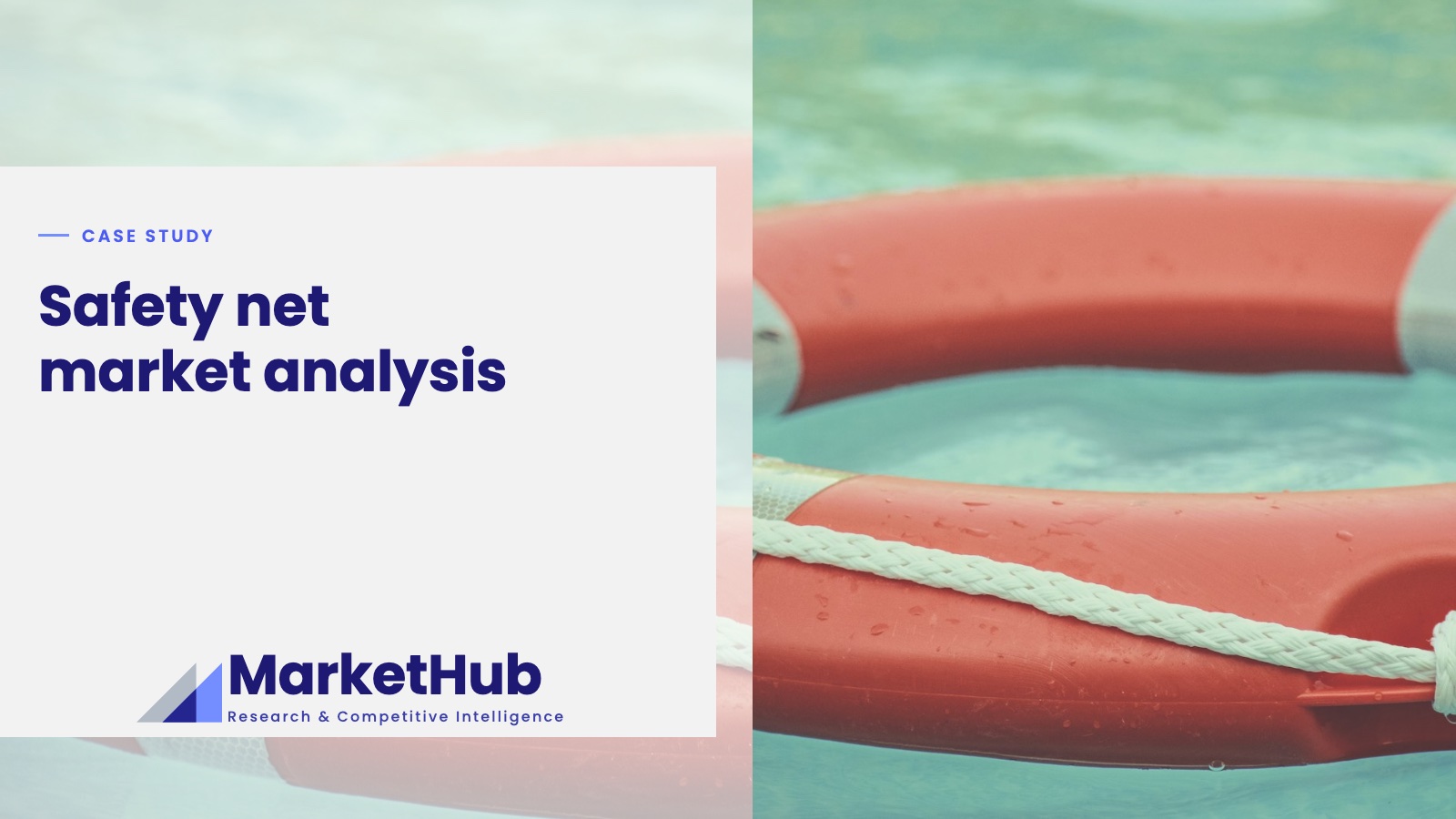 Safety net market analysis: case study