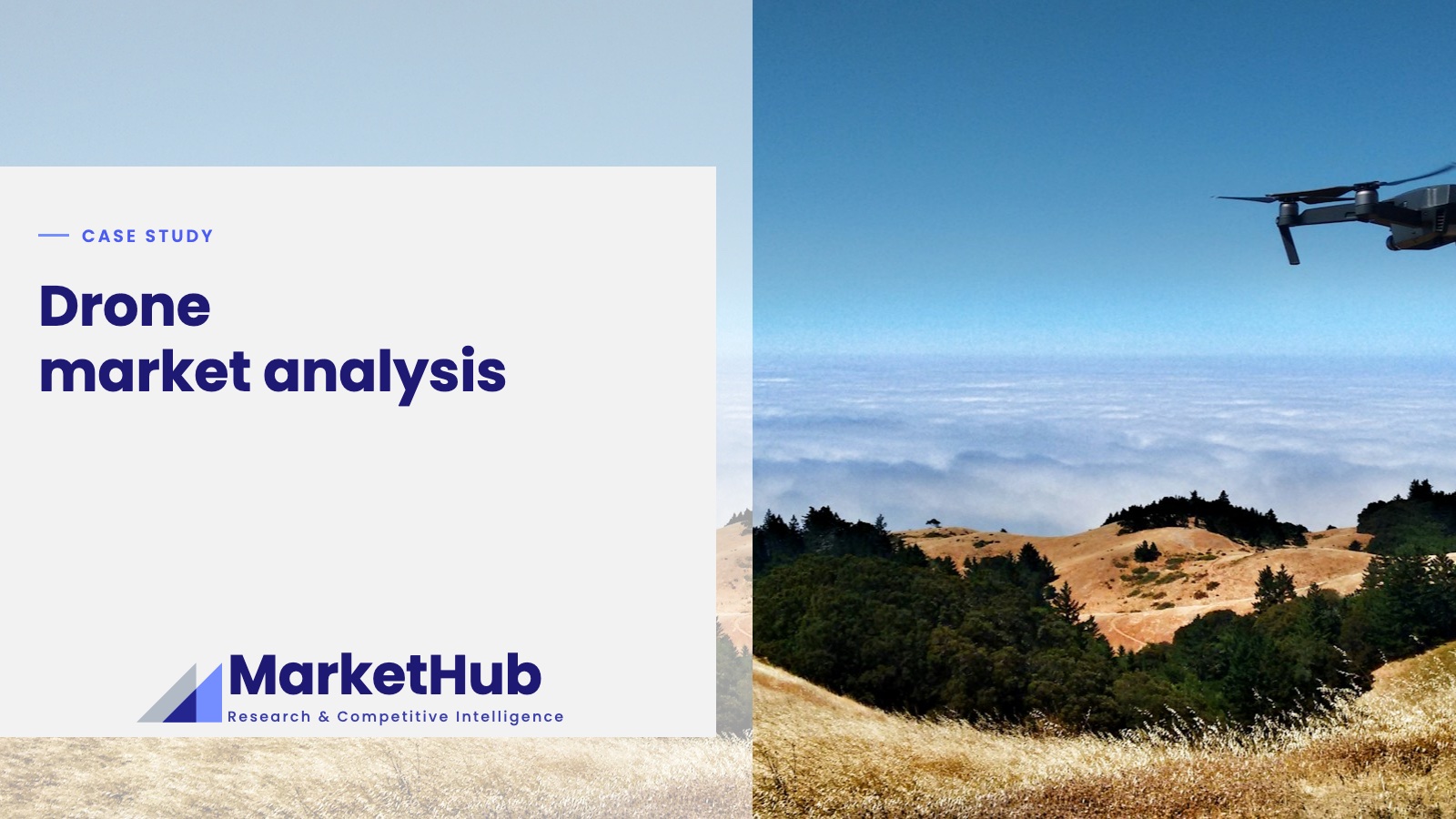 Drone market analysis: case study