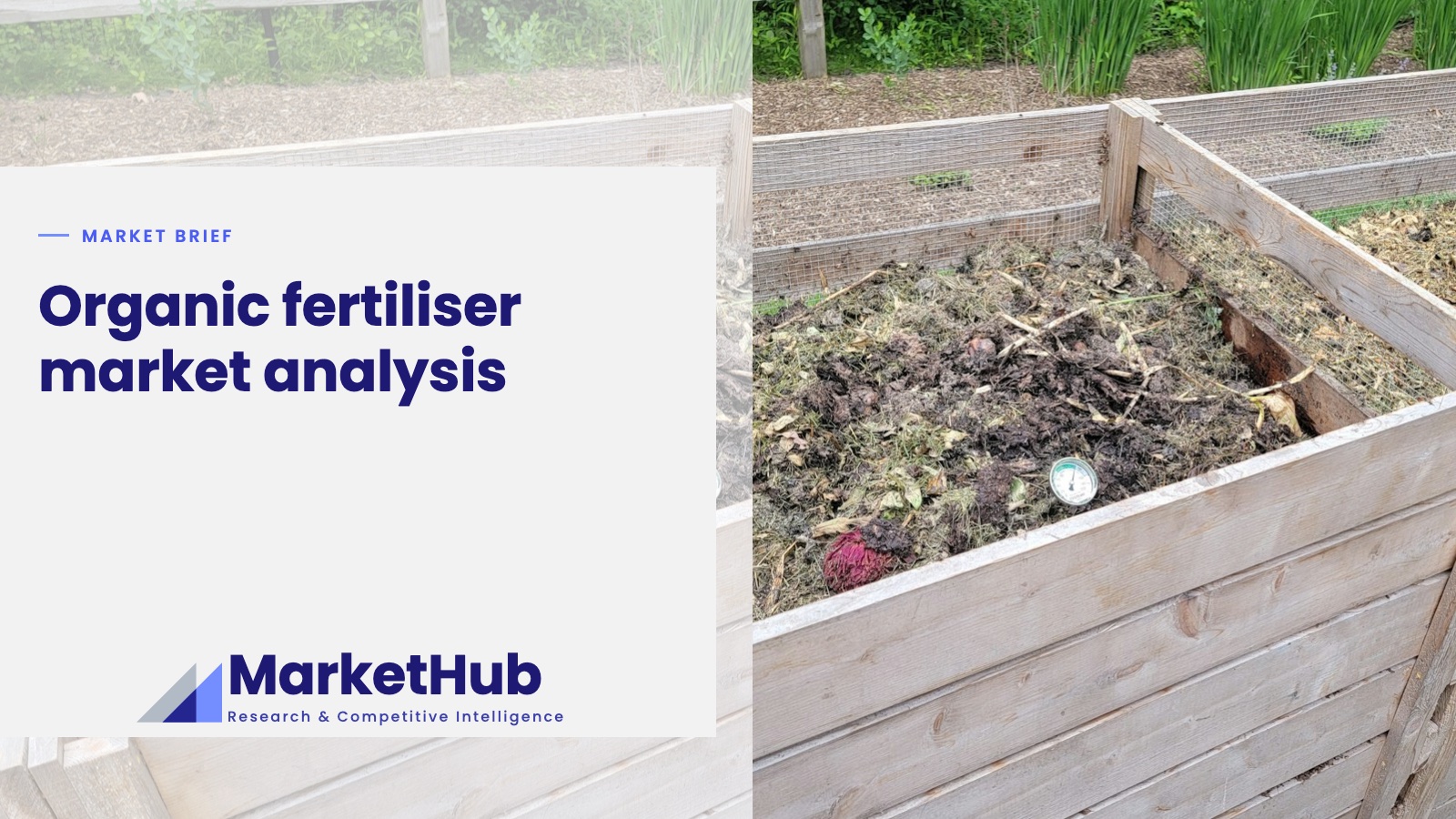 Organic fertiliser market analysis