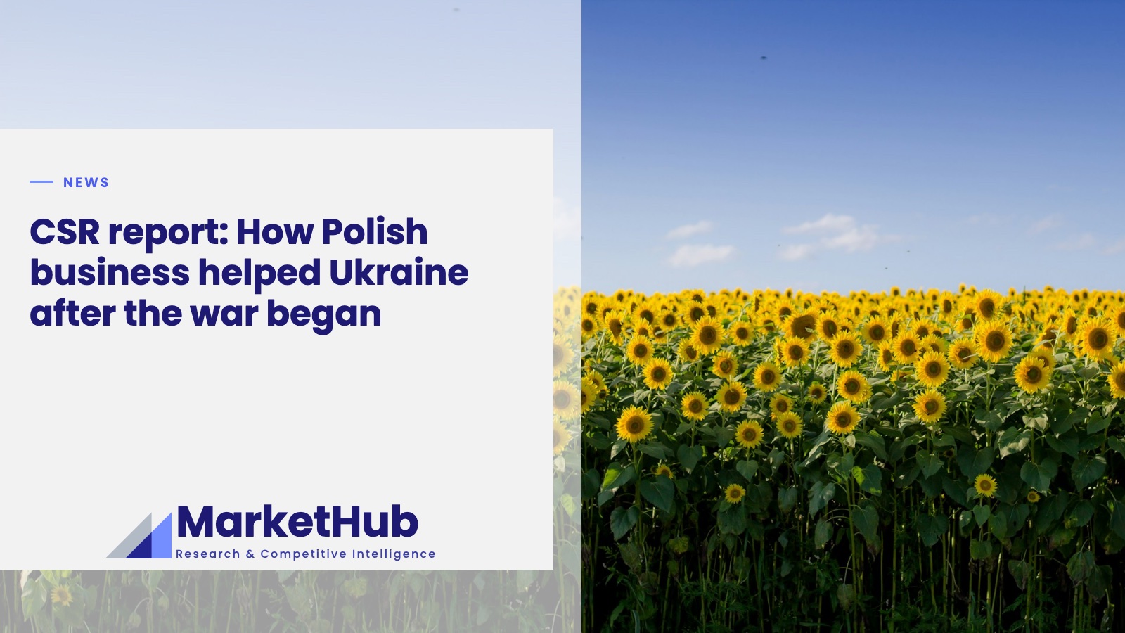 CSR report: How Polish business helped Ukraine after the war began