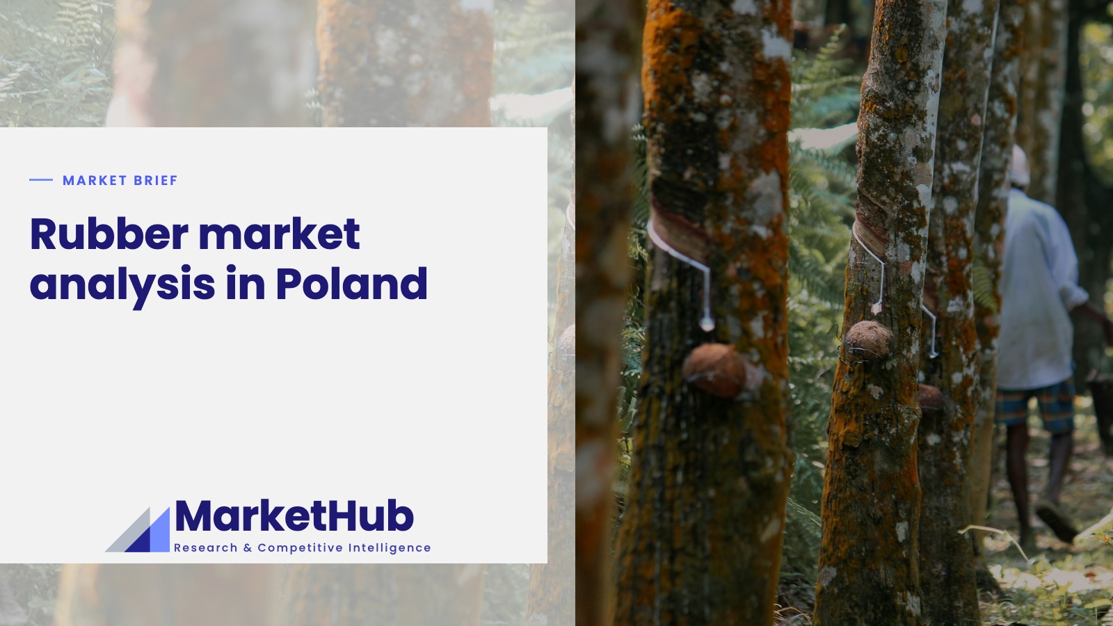 Rubber market analysis in Poland