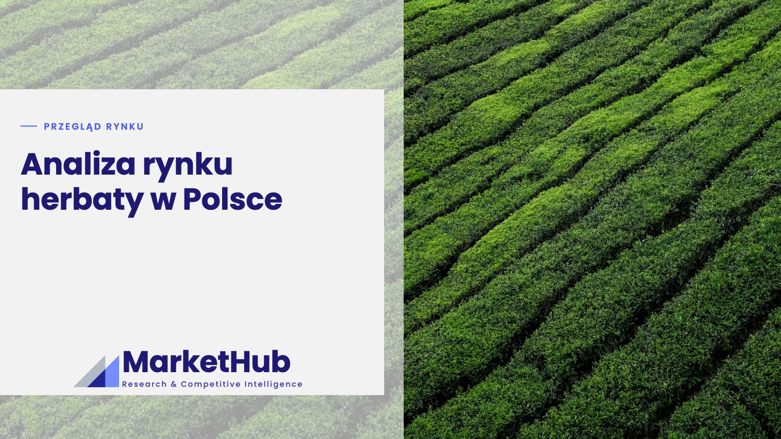 Analiza rynku herbaty w Polsce