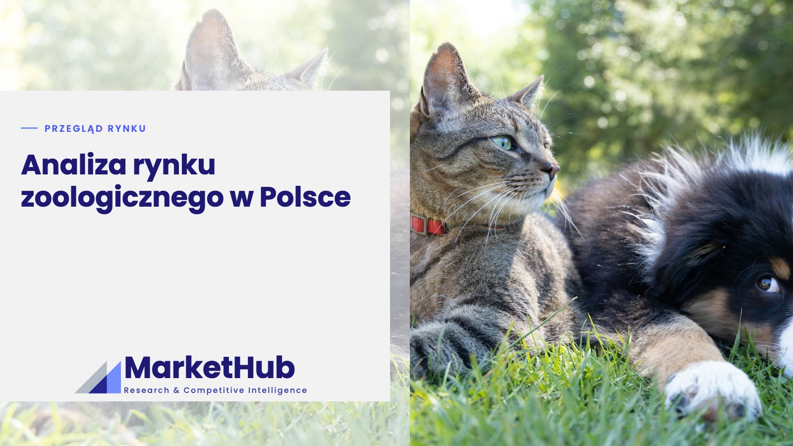 Analiza rynku zoologicznego w Polsce