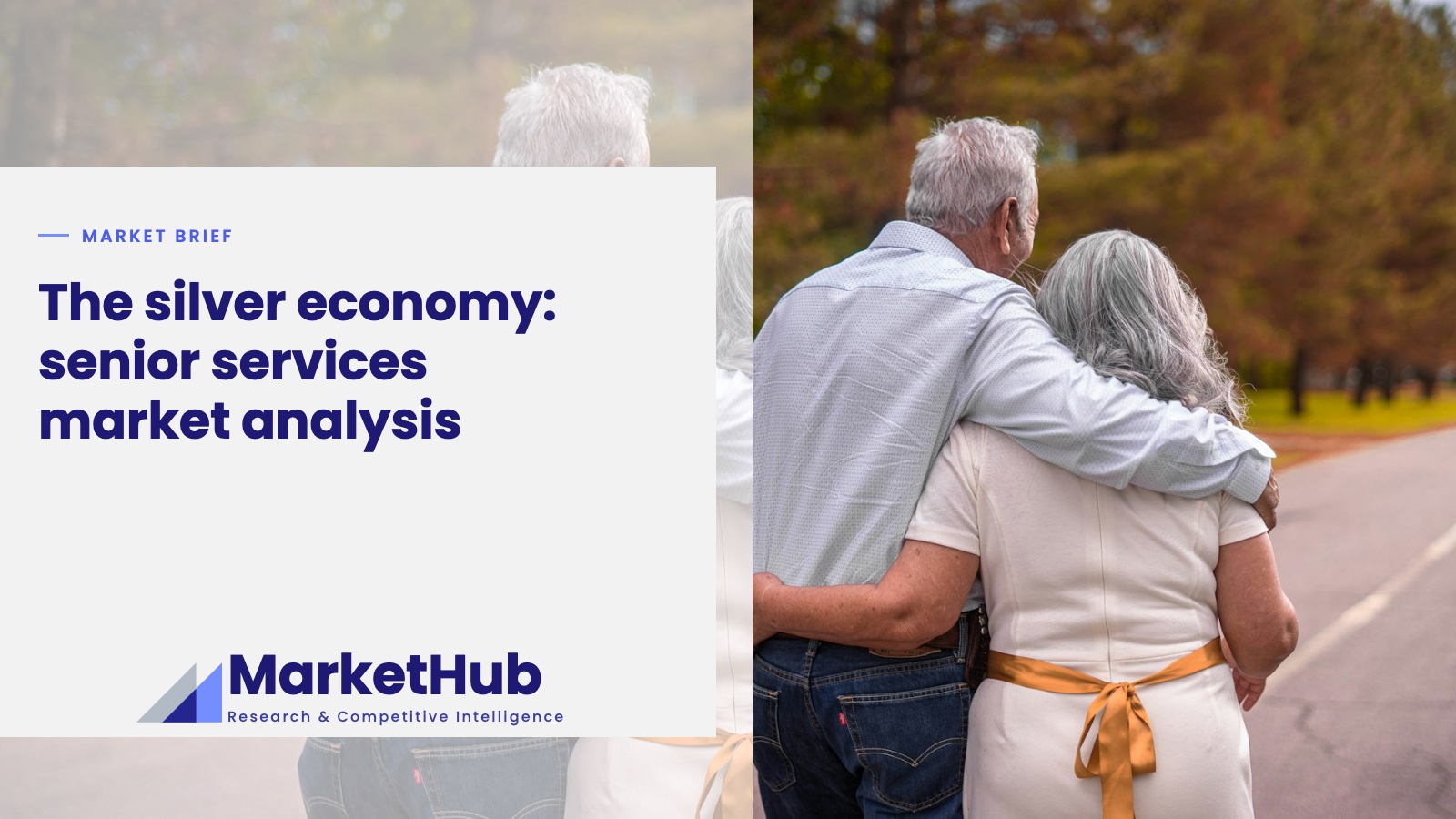 The silver economy: senior services market analysis