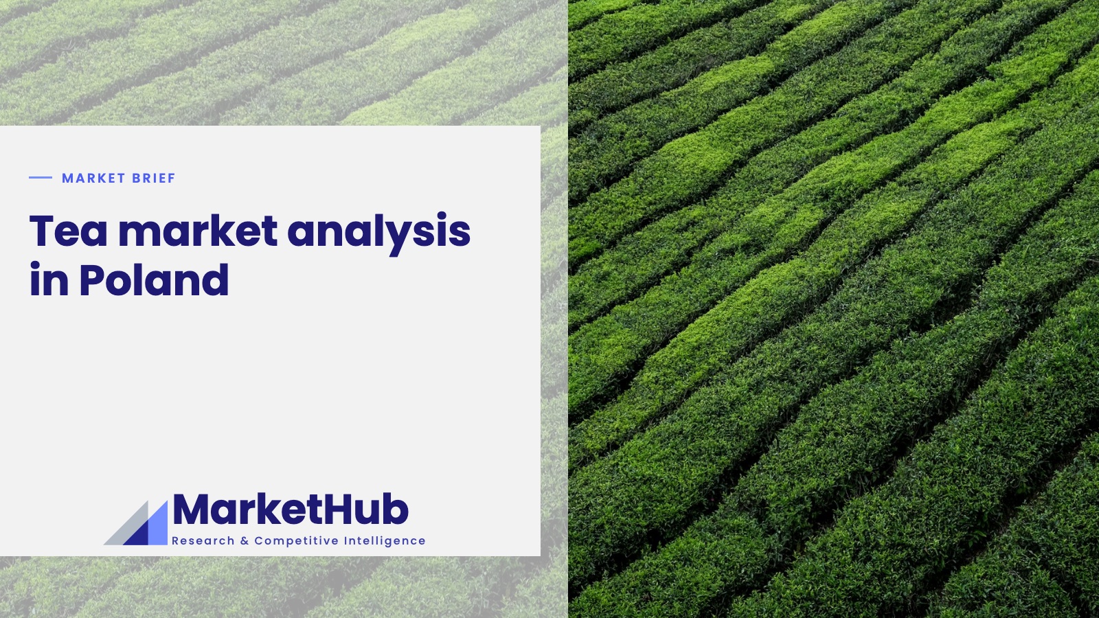Tea market analysis in Poland